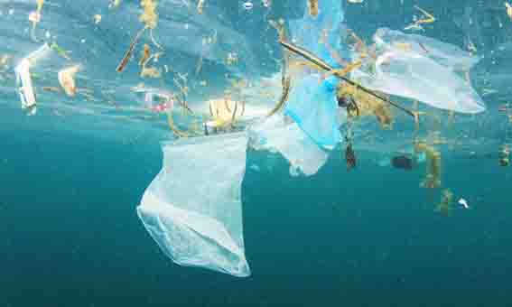 همراهی با روز جهانی محیط زیست، با اندکی پلاستیک کمتر