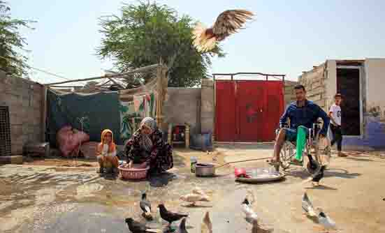 ۱۵۵ هزار خانه روستایی خوزستان بیمه برکت شدند