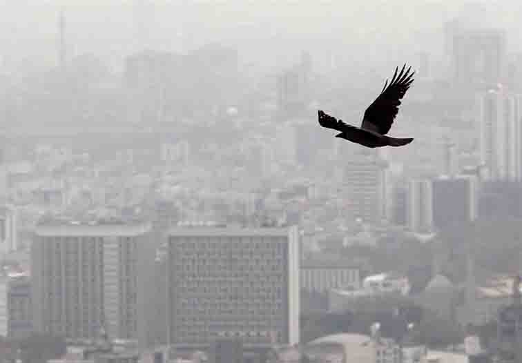 “شیب ملایم” افزایش نرخ اجاره‌بها در تهران