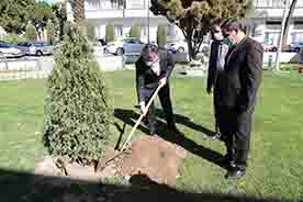 کاشت درخت توسط مدیرعامل بانک ملی ایران به مناسبت روز درختکاری