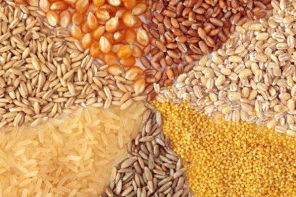 جزئیات تخلف در واردات نهاده با کوتاژ جعلی/گمرک مدعی شد جزئیات تخلف در واردات نهاده با کوتاژ جعلی/گمرک مدعی شد
