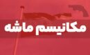 مکانیسم ماشه؛ شوک سیاسی یا سیگنال اقتصادی؟