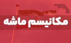 مکانیسم ماشه؛ شوک سیاسی یا سیگنال اقتصادی؟