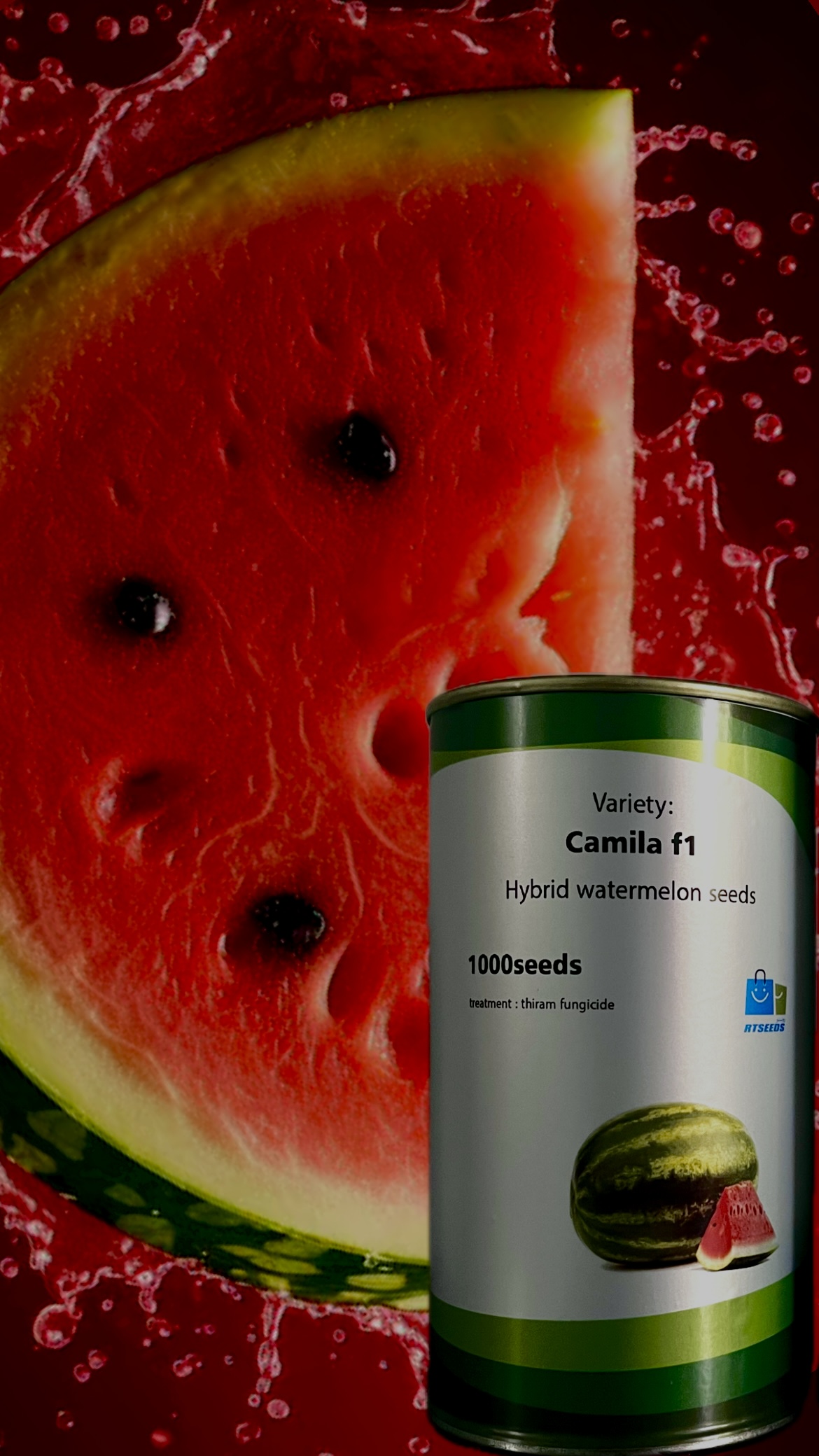 بذر رونستو سیدز