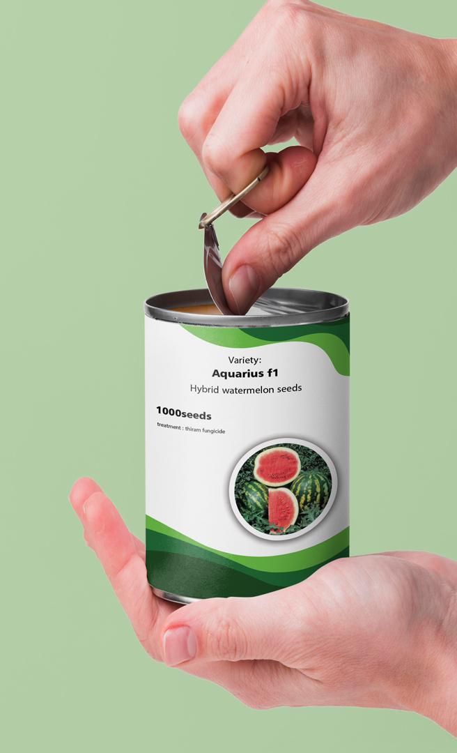 نقش بذر در سود کشاورزان