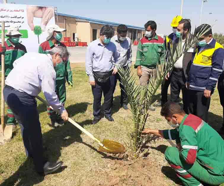 مراسم کاشت درخت در محوطه پتروشیمی کارون برگزار شد