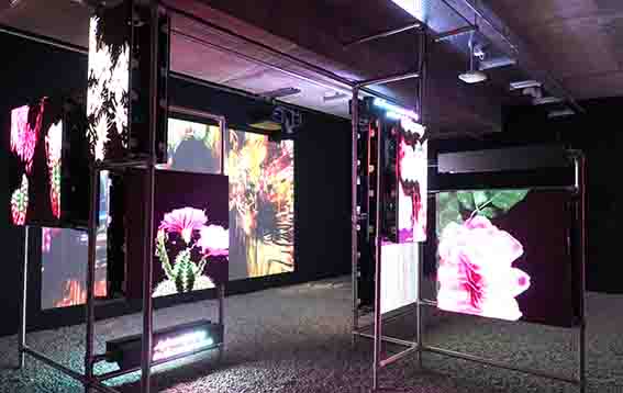 ال‌جی از پروژه های هنری، با الهام از نمایشگرهای OLED در سراسر لندن رونمایی کرد