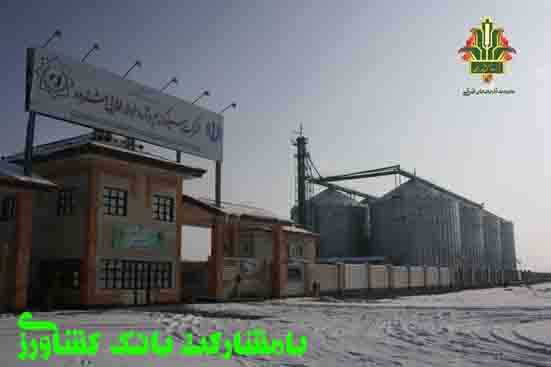 واریز ۹۳درصد وجوه گندم خریداری شده در استان آذربایجان شرقی توسط بانک کشاورزی