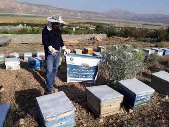 بازگشت با «برکت» ۶۲۵۰ خانواده به روستا