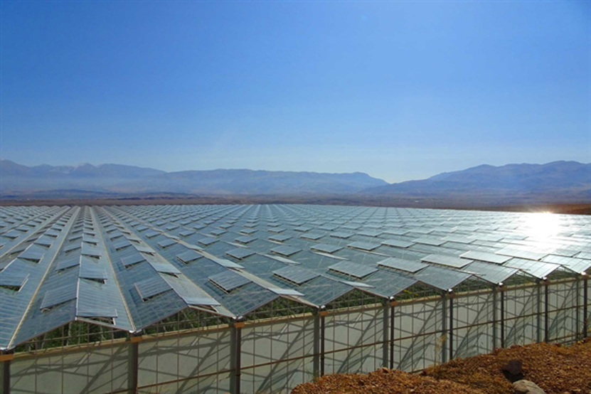احداث بزرگ ترین پروژه کشت گلخانه ای شیشه ای مدرن خاورمیانه با حمایت ۵۰۰۰ میلیاردی بانک کشاورزی در منطقه آزاد تجاری ارس