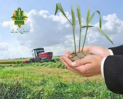 تحقق ۱۱۸درصدی برنامه بیمه زراعت توسط صندوق بیمه کشاورزی در سال زراعی جاری
