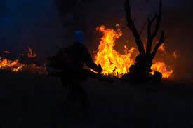 آتش‌سوزی جنگل توسکستان بعد از یک هفته اطفا شد