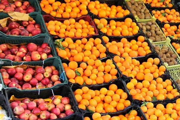 برنامه وزارت جهاد برای کاهش قیمت میوه با عرضه مستقیم آن