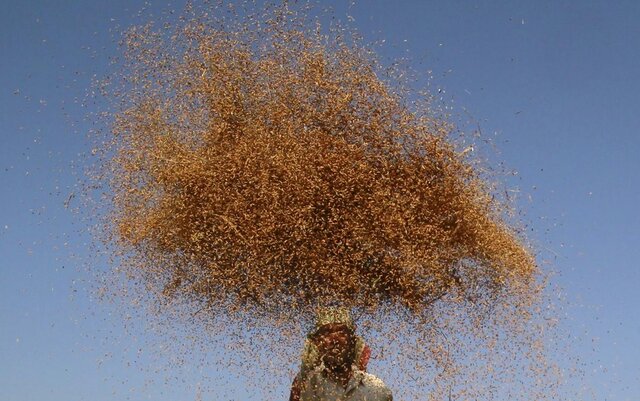 فائو: مواد غذایی در سال ۲۰۲۰ گرانتر شد فائو: مواد غذایی در سال ۲۰۲۰ گرانتر شد