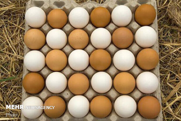 قانون درج قیمت روی تخم مرغ اجرایی شد/ هر دانه؛ ۱۱۰۰ تومان