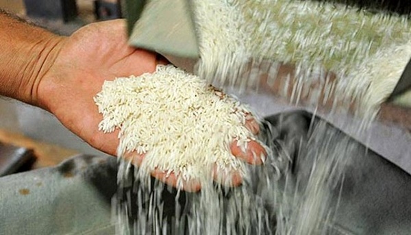 قیمت انواع برنج ایرانی و وارداتی در میادین میوه و تره‌بار اعلام شد