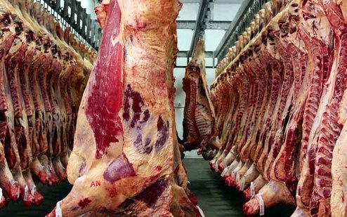 قیمت گوشت قرمز بزودی تعدیل می‌شود