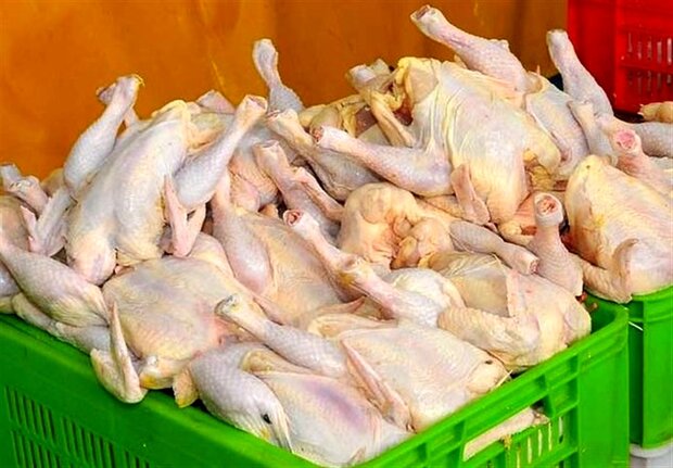 مصرف مرغ در تهران طی یک هفته ۶۰۰ تن افزایش یافت