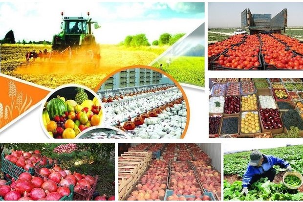 کاهش هزینه صادرات محصولات کشاورزی به اوراسیا