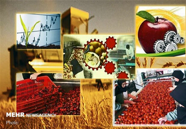 ۵۹ مرکز خرید محصولات کشاورزی ایجاد و تجهیز می‌شود