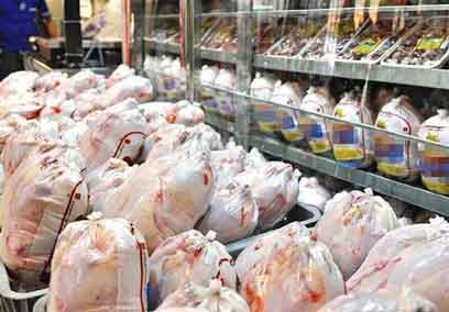 کاهش ۵ تا ۱۰ هزار تومانی قیمت مرغ