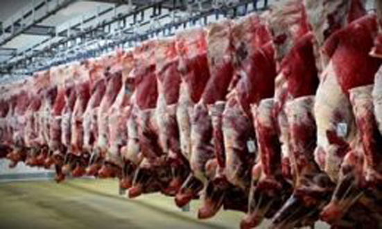 واردات ۱۵۰ هزار تن یونجه از روسیه/ انباشت ۷ میلیون راس گوسفند چربی‌گرفته در دامداری‌ها
